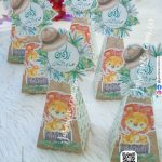 علب توزيعات سبوع مباركة مولود علب فارغة كرتون (راكان عماد البلك) ثيم الاسد SAFARI
